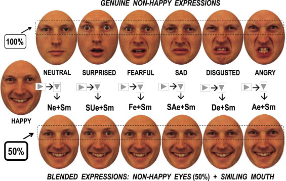 When Smiles Look Threatening: Social Anxiety Skews Emotion Recognition