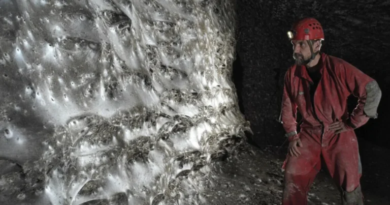 In a Sulfur Cave, 110,000 Spiders Share One Web