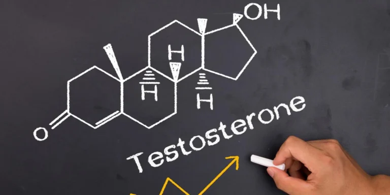 Testosterone reshapes men’s attraction and their sense of fairness