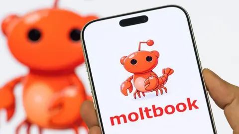 Moltbook Logo on a mobile phone screen