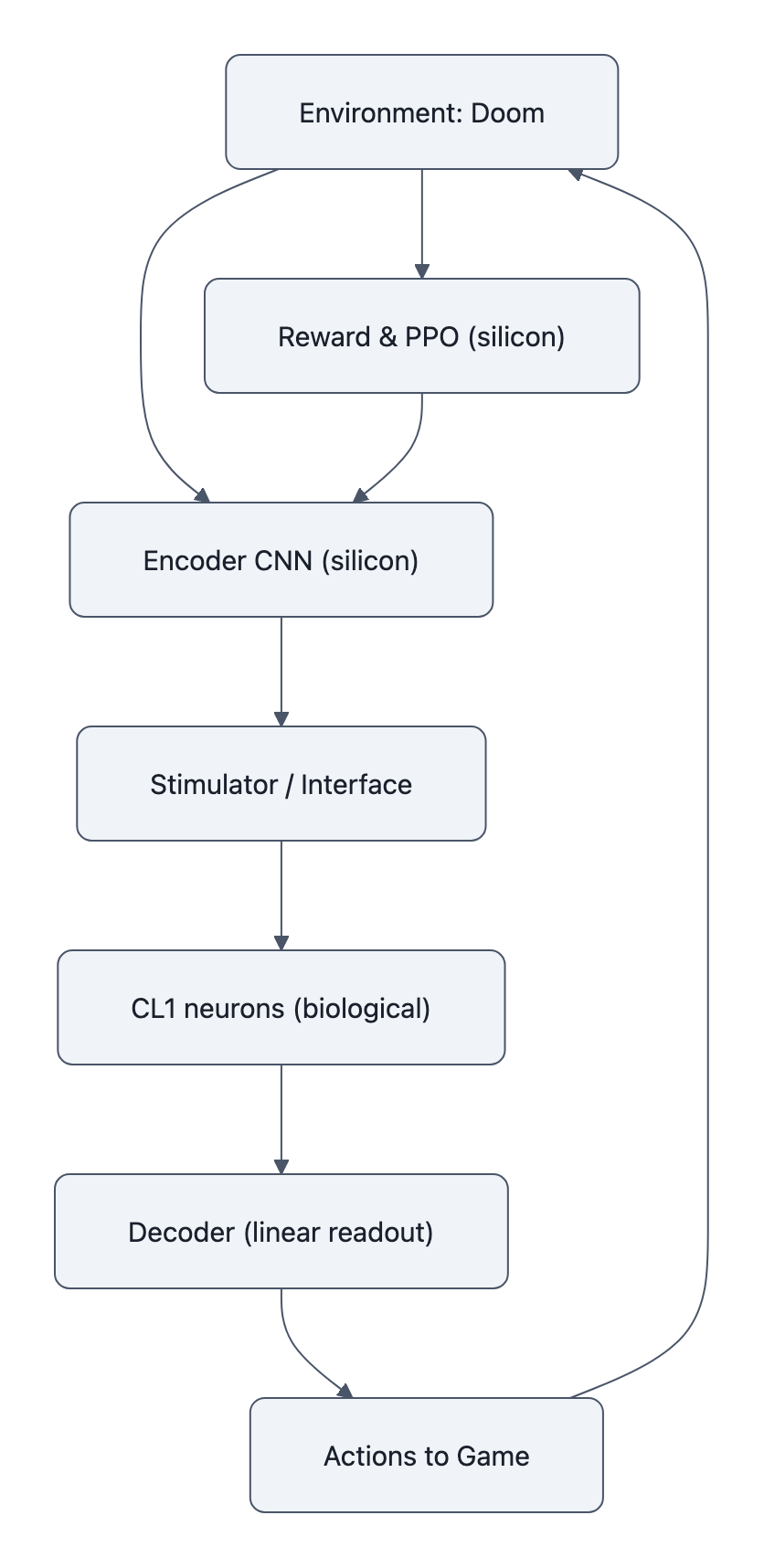Simple flow diagram showing the closed experimental loop: Doom environment → encoder (silicon) → stimulator → CL1 neurons (biological) → decoder → actions → environment, with reward/PPO on silicon feeding back to the encoder.