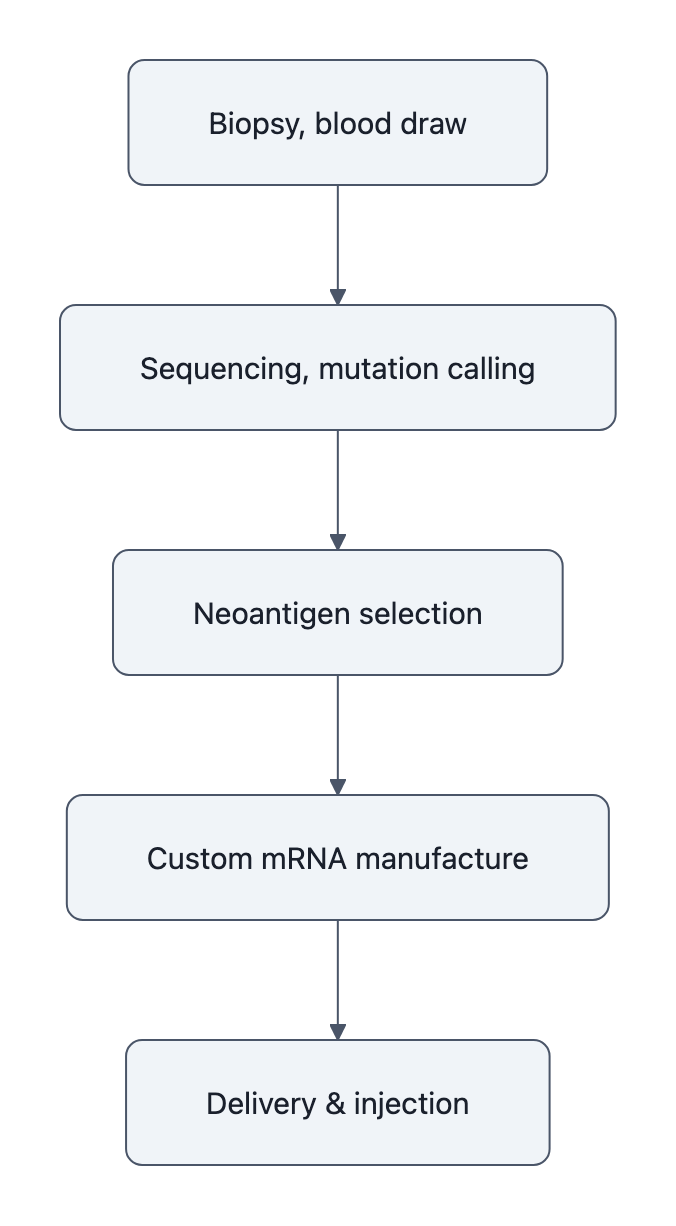 Flowchart of the personalized mRNA vaccine pipeline: biopsy → sequencing and mutation calling → neoantigen selection → custom mRNA manufacture → delivery and injection.