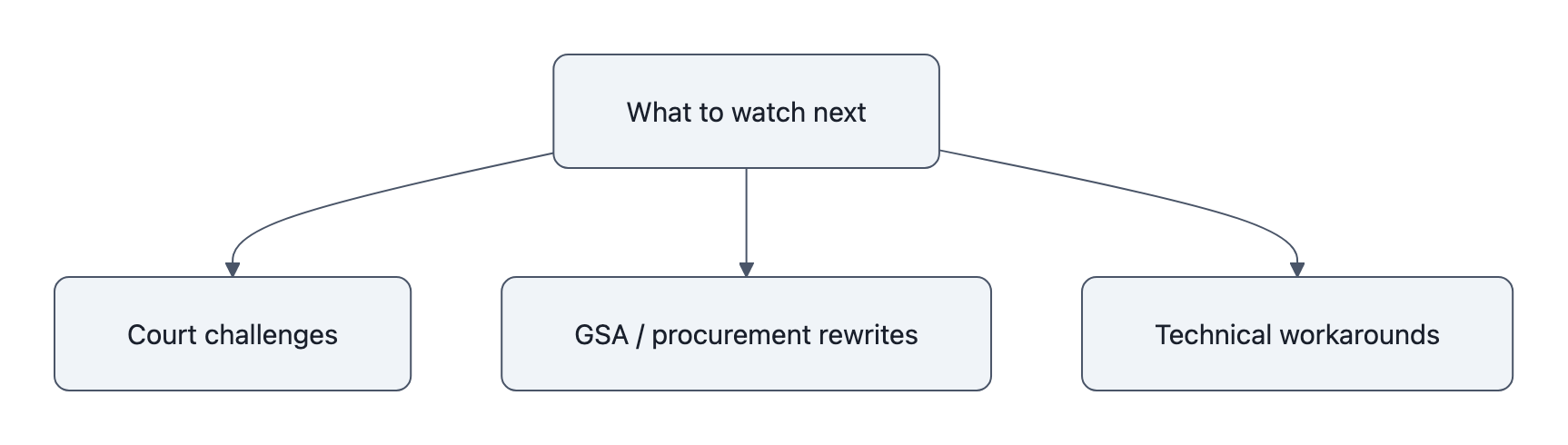 Three-branch diagram: a central node 'What to watch next' with branches to 'Court challenges', 'GSA / procurement rewrites', and 'Technical workarounds'.