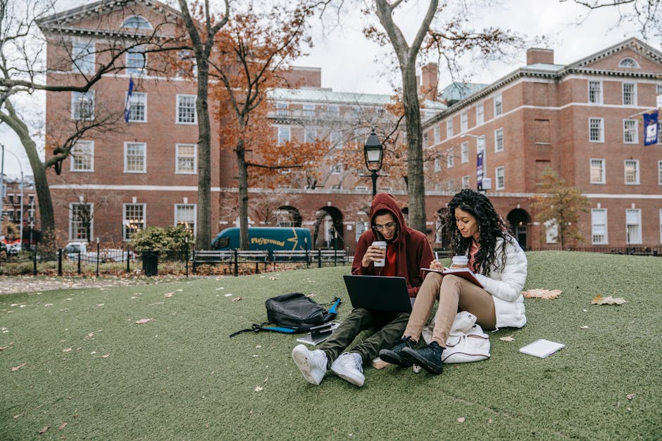 College students using laptops on campus