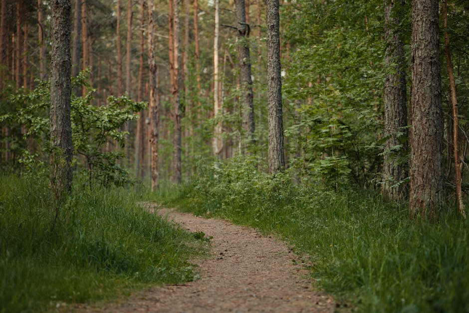 Serotonin study targets belief stickiness in OCD