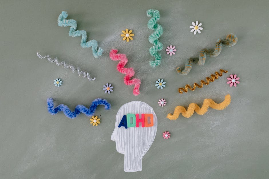 Brain scans track diverging ADHD symptom paths