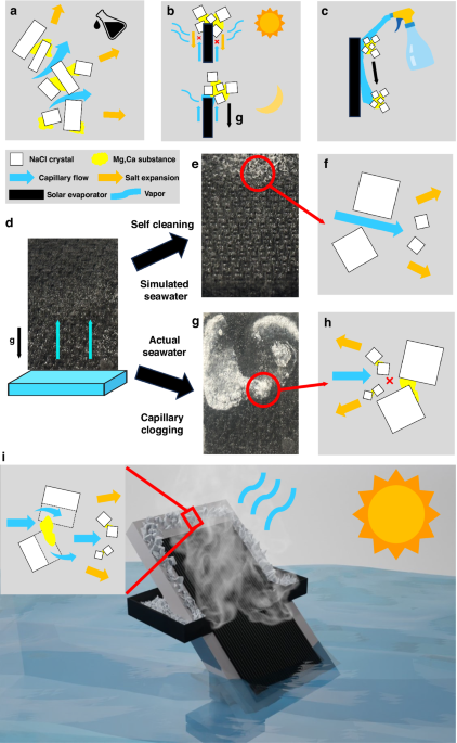 Solar desalination captures salt instead of dumping brine
