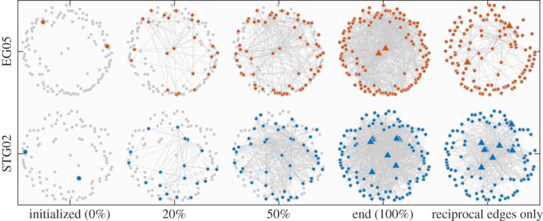 bot percentage: A network of connected smartphone screens and profile icons suggesting social media bots